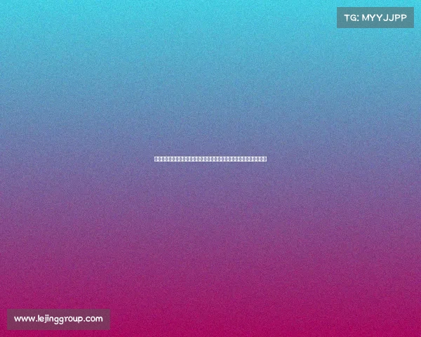 欧洲杯战最佳阵容揭晓：加克波、德米拉尔与奥布拉克如何引领球队前进